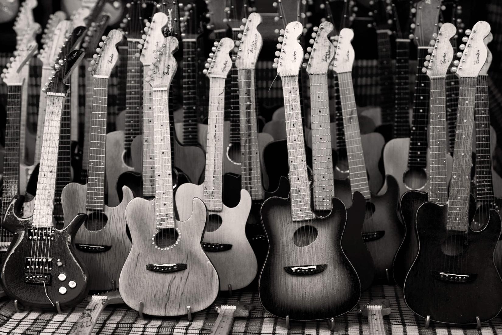Pour quel style de guitare optez-vous ?
