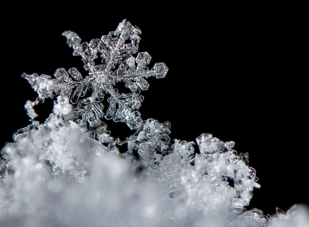 Flocon de neige dans la nature